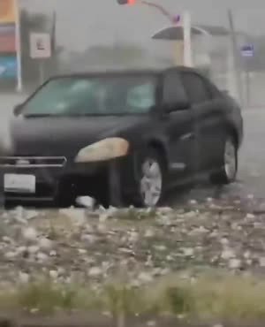 17228537147454.jpeg
