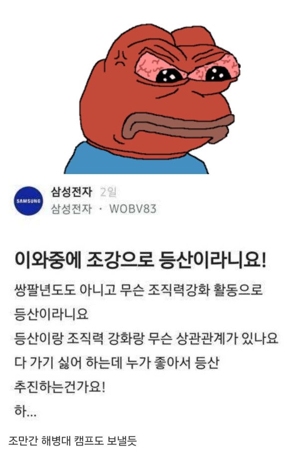 17286345581842.jpeg