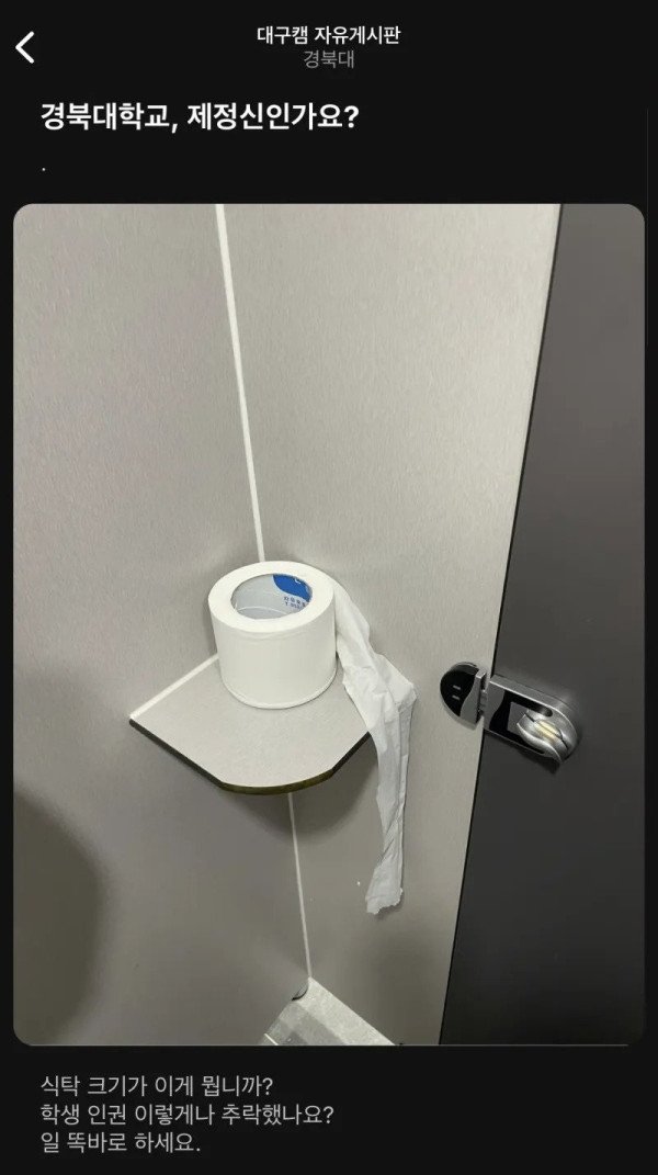 17288942073496.jpeg