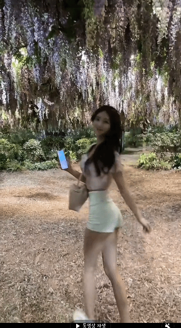 17322769534111.gif
