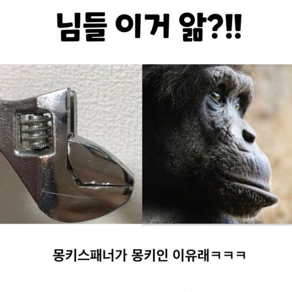17304597255795.jpeg