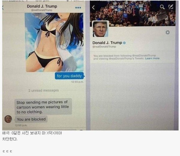17308944497677.jpeg