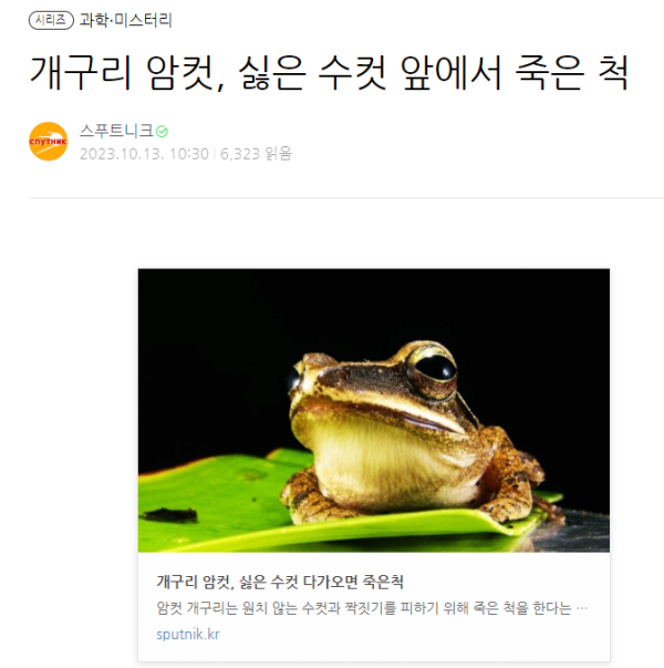 1731110448611.png