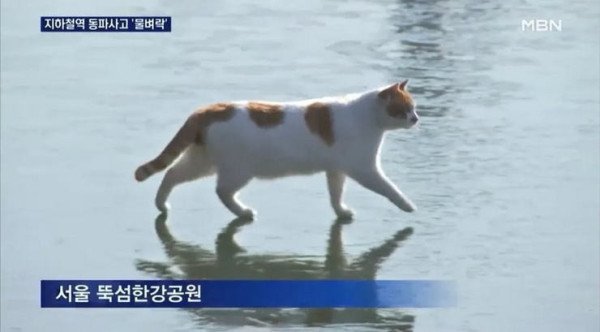 17311536439815.jpeg
