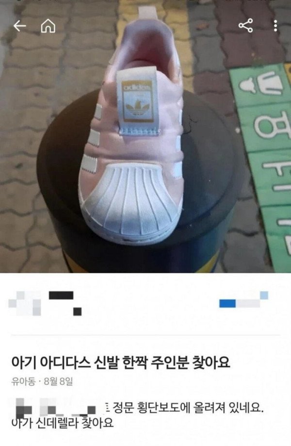 17311537486677.jpeg
