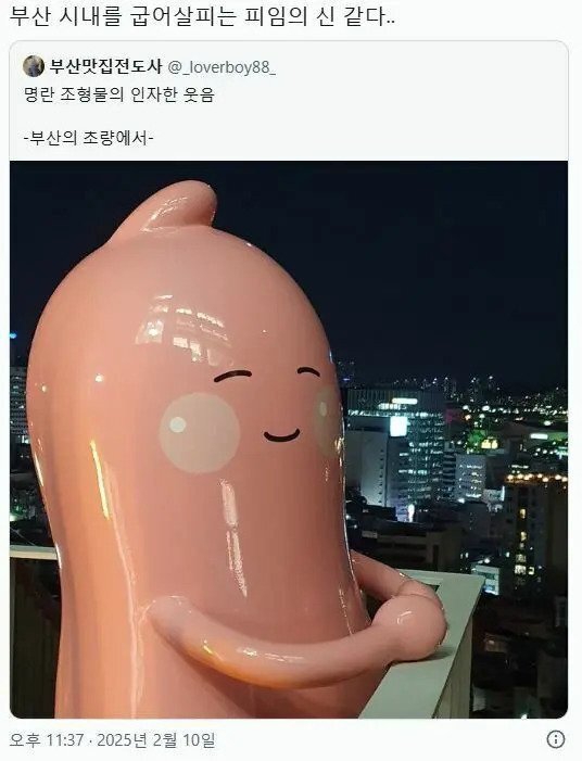 17398369352986.jpeg